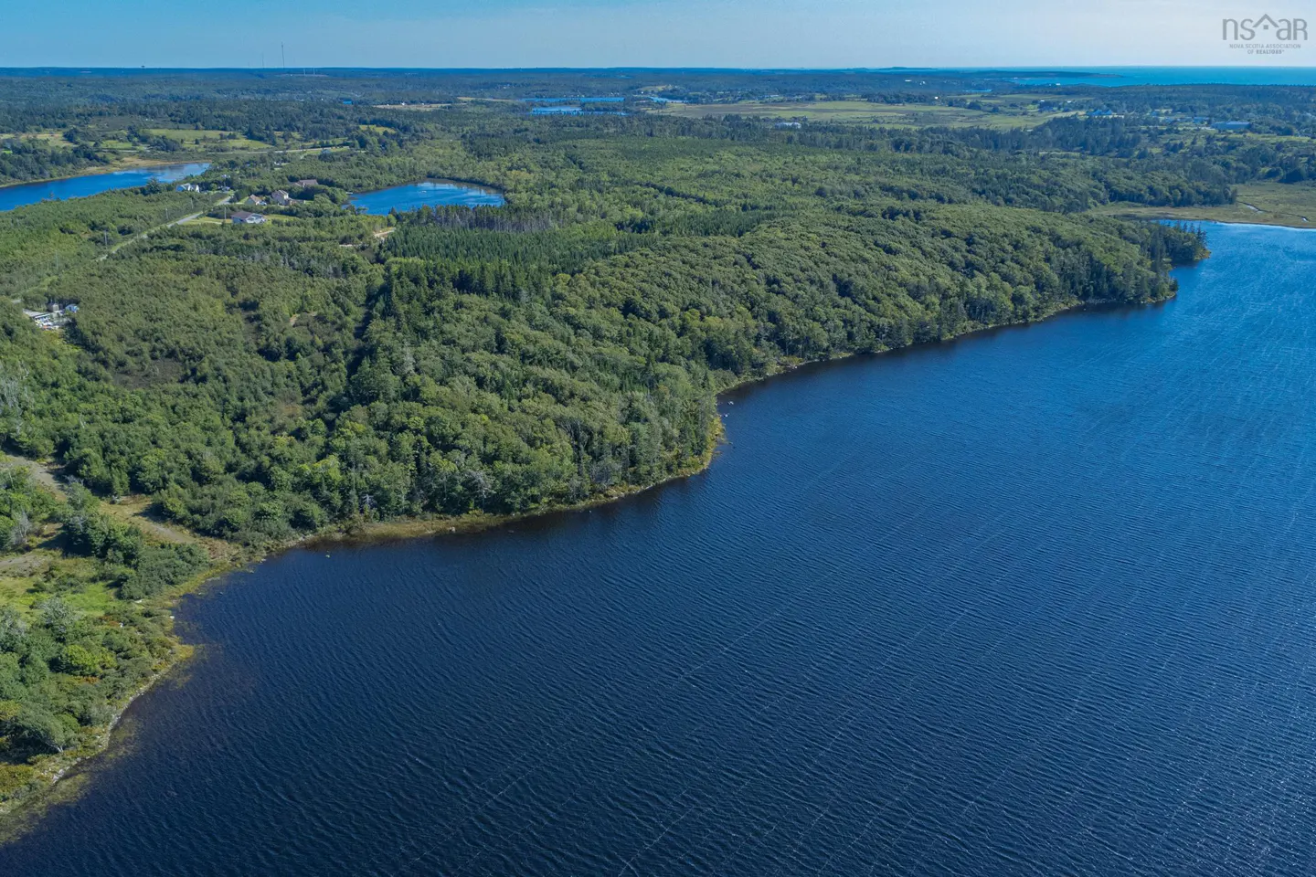 Aerial view of a dark blue lake surrounded by a green forest under a clear blue sky.
