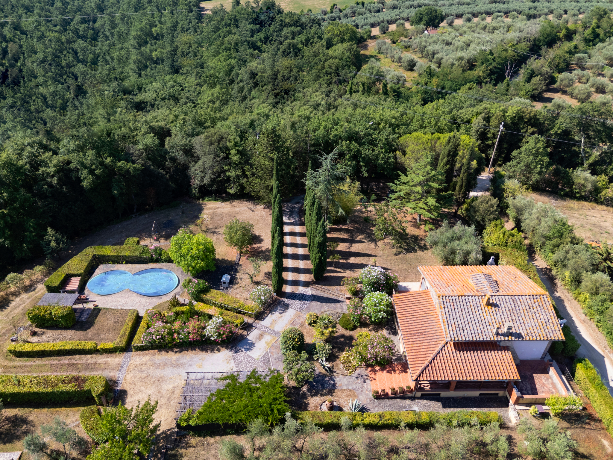 Property with Pool and Olive Grove Near Massa Marittima