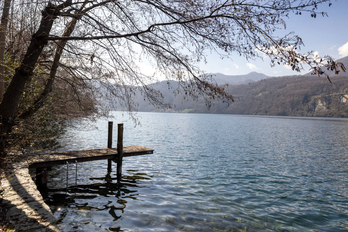A serene lake view with a small wooden dock, bare trees, and distant mountains under a blue sky.