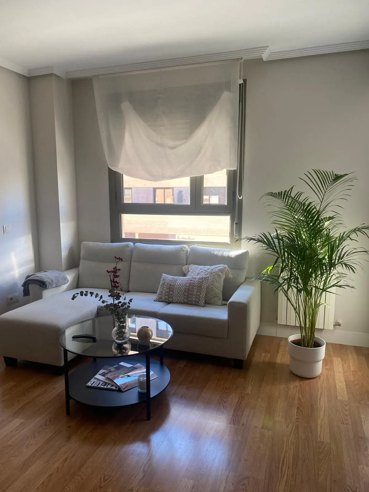 Modern living room with a light gray sectional sofa, glass coffee table, and a large potted palm plant on wood floors.