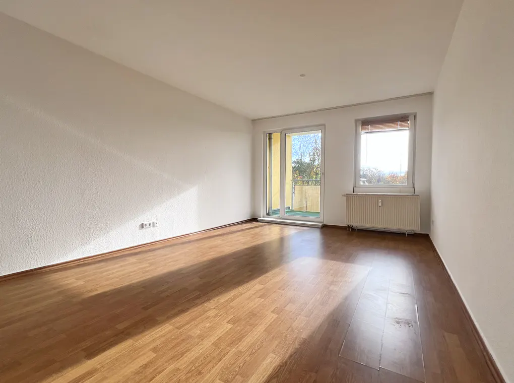 Empty room with wood floor, white walls, sliding glass door to balcony, and window with radiator.
