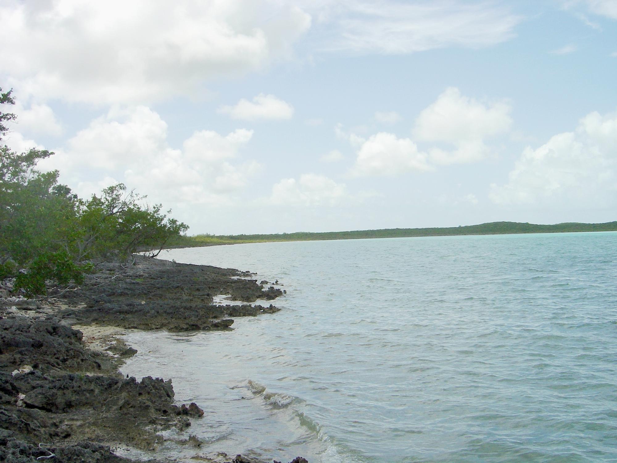 Harbourfront in The Bight