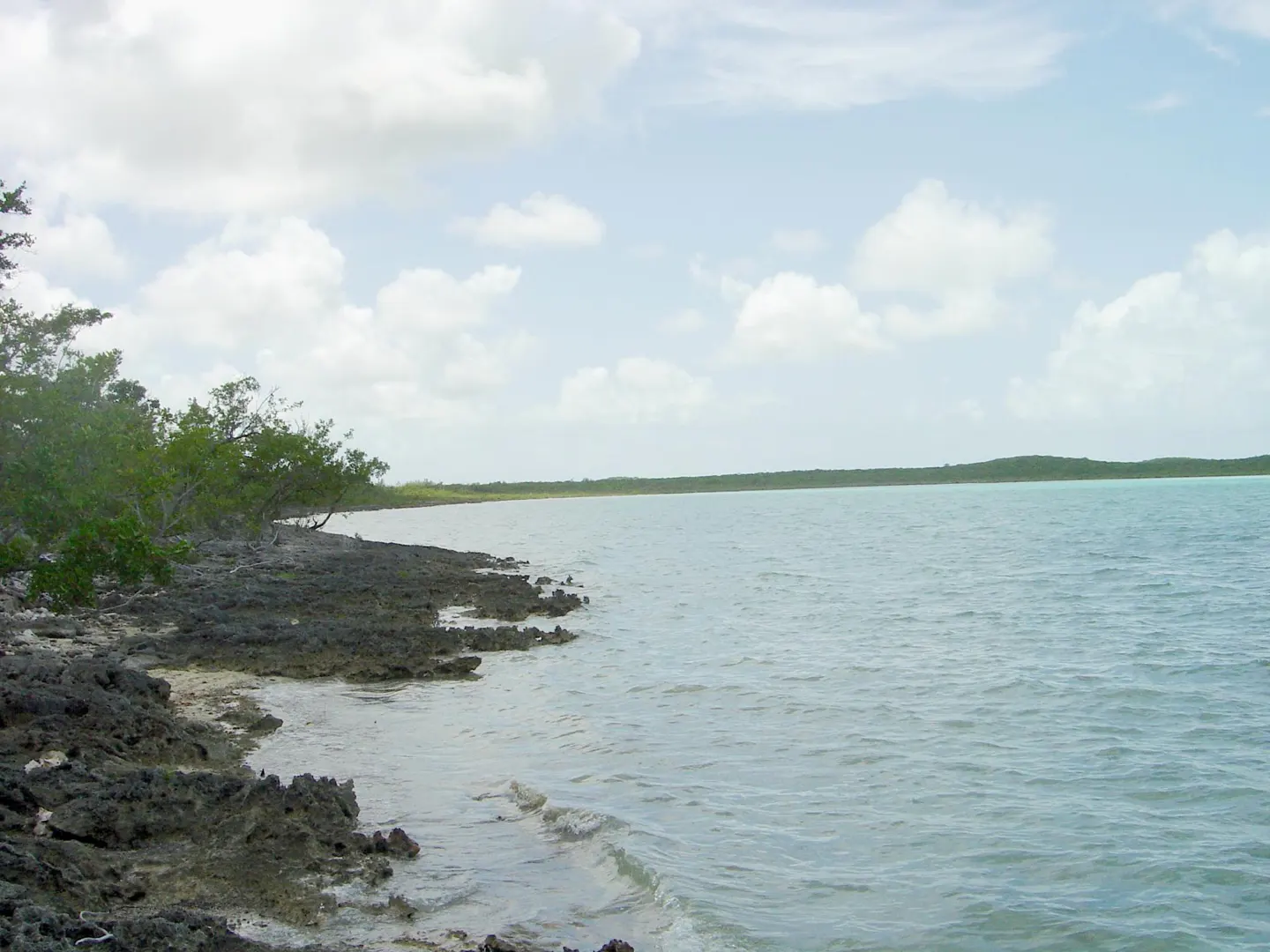 Rocky shoreline with green trees meets calm, turquoise water under a cloudy sky.
