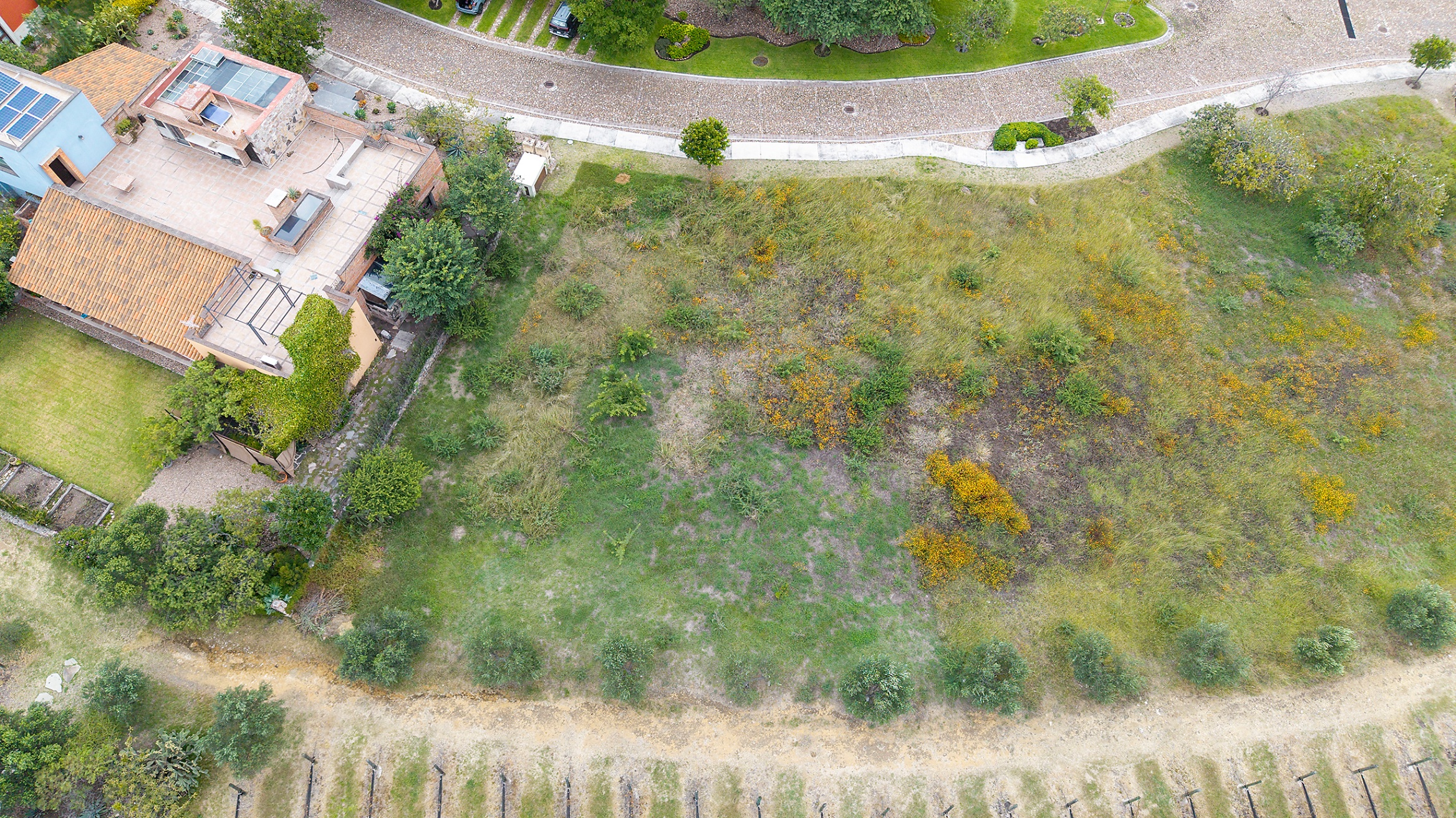 Luxury Vineyard Living; Premium Lot in Viñedo San Miguel
