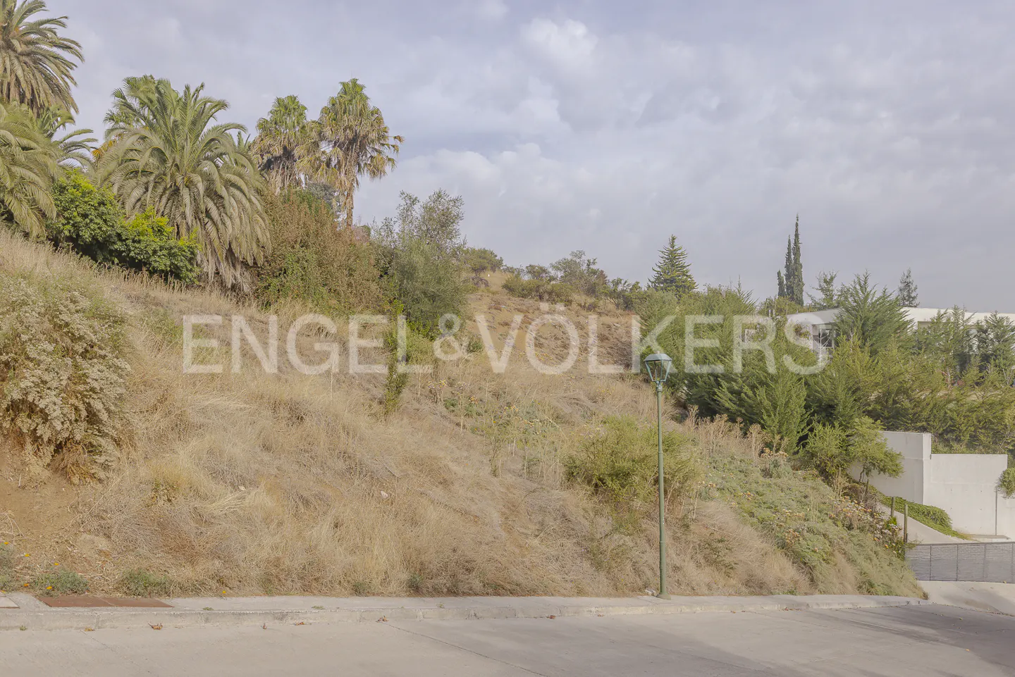 View of a hillside lot with dry grass, trees, and palm trees under a cloudy sky. An Engel & Völkers logo is superimposed on the image.
