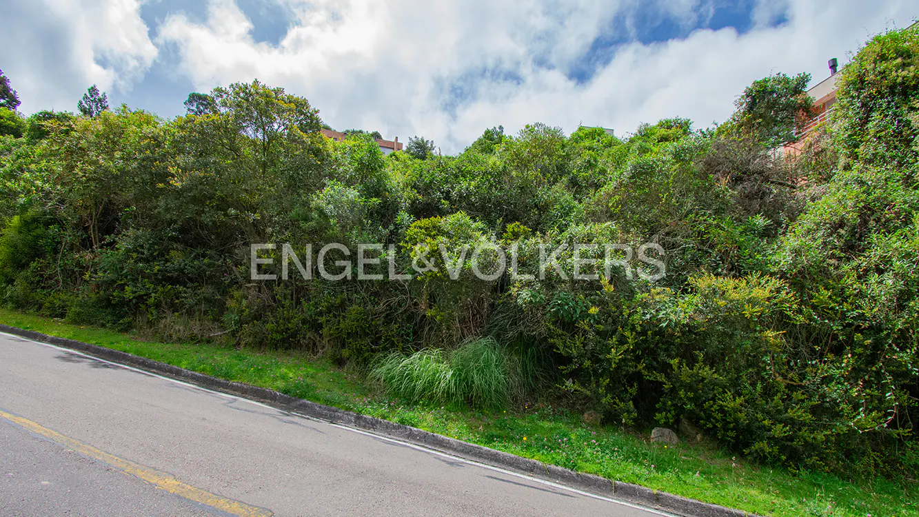 Lush green hillside property for sale by Engel & Volkers, with a road in the foreground and a cloudy sky above.