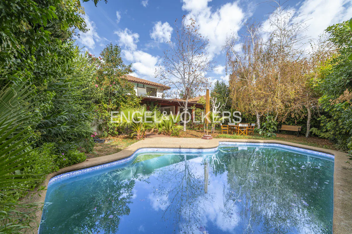 Backyard view of a blue swimming pool reflecting the sky, surrounded by lush greenery and a house in the background.