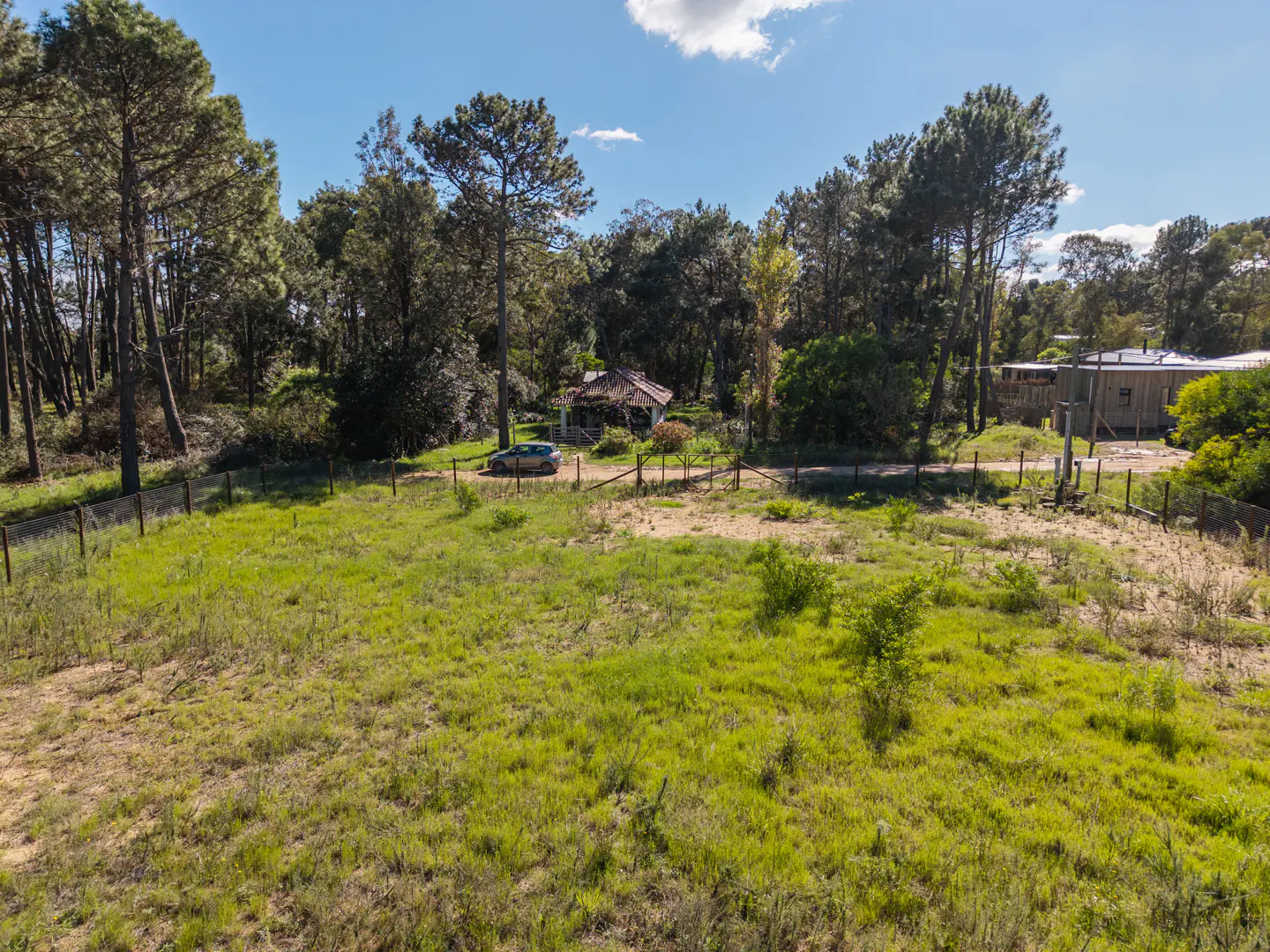 A landscape view of a grassy field with trees, a house, and a car.
