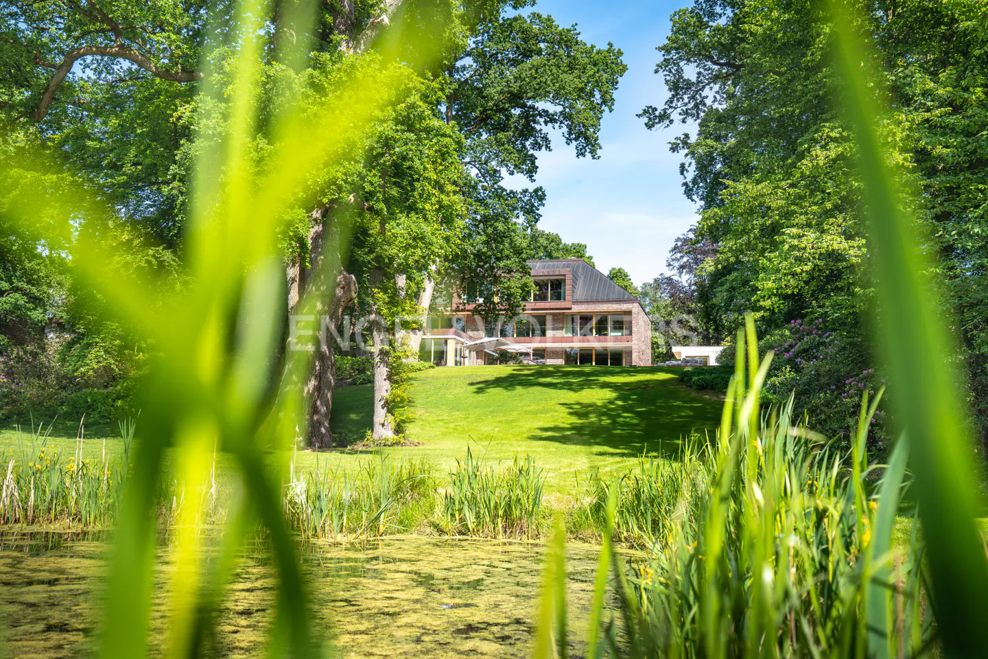 A modern house is seen through tall green grass, with a pond in the foreground and trees surrounding the property.