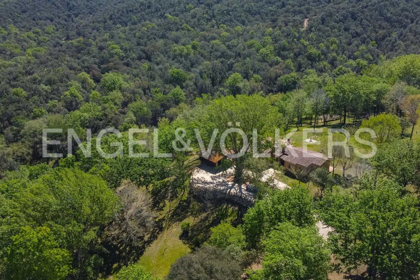 American Ranch with 12 hectares of forest