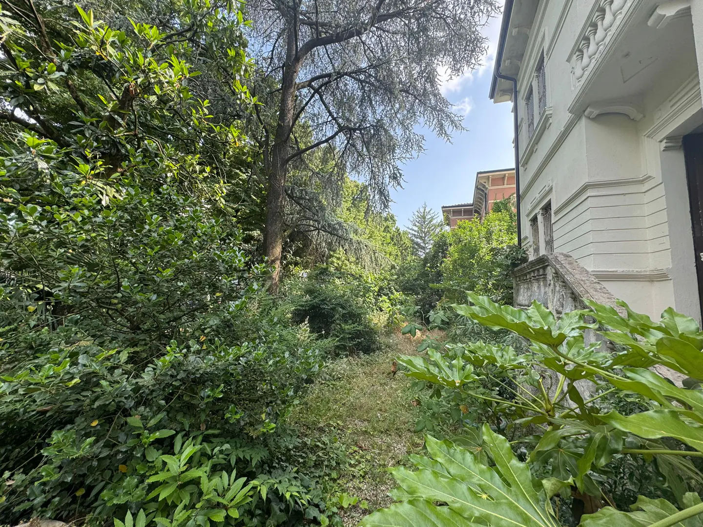 A white historic building with stone stairs sits beside a lush, overgrown garden with large trees and dense green foliage.