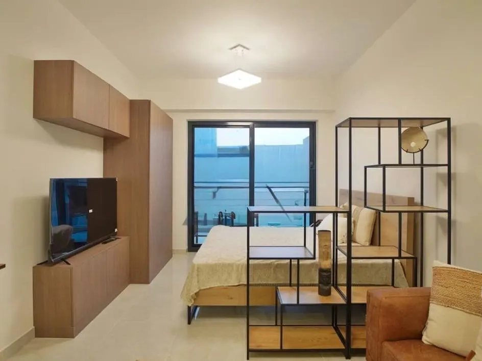 A modern studio apartment with a bed, TV, wooden cabinets, and a black metal shelving unit. A sliding glass door leads to a balcony.