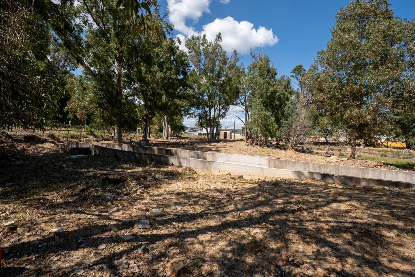 A sunny lot with trees and a concrete drainage ditch. The ground is dry and covered with shadows. Blue sky with white clouds.
