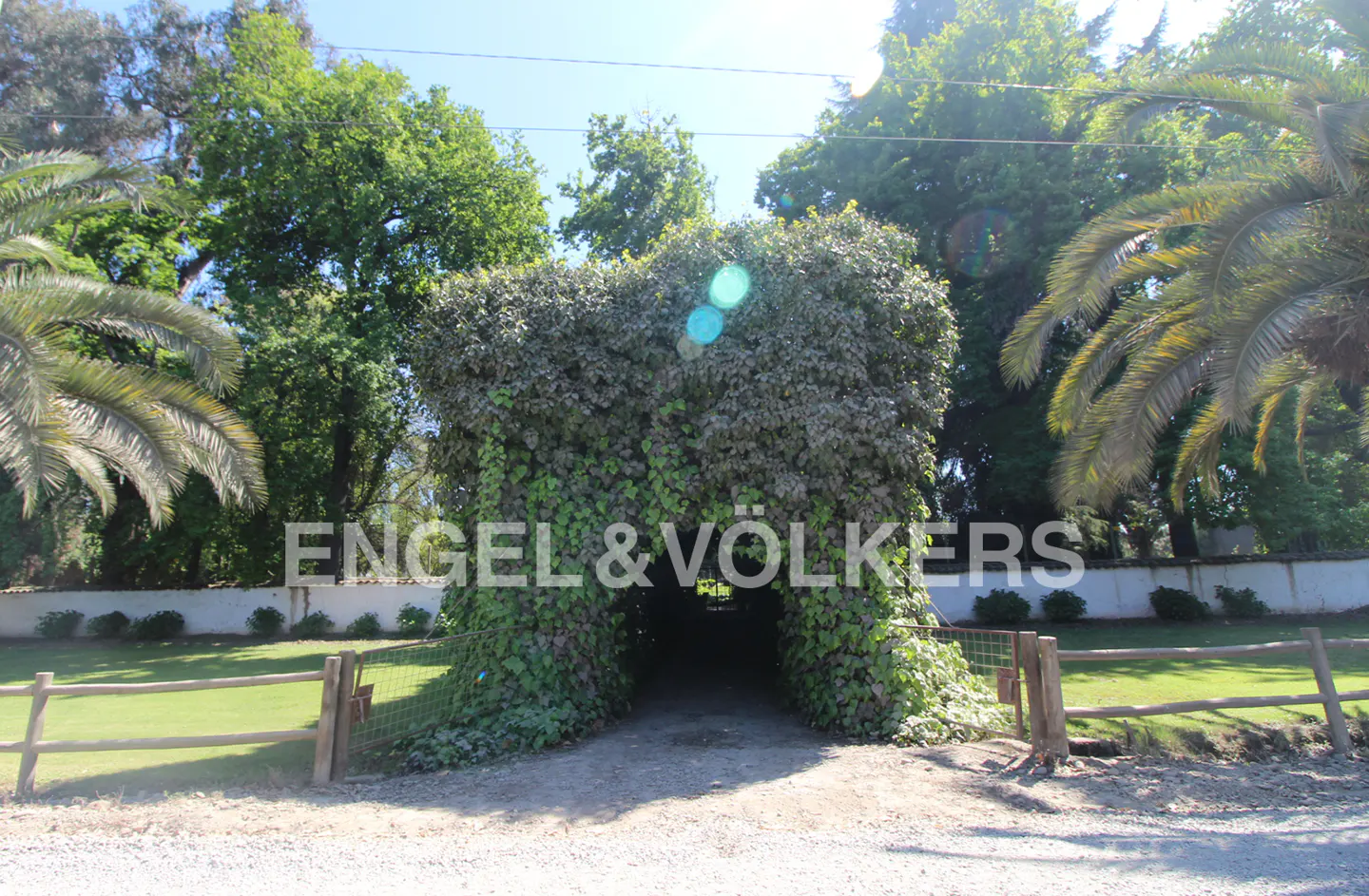 A dirt path leads through a large, ivy-covered stone archway in a lush garden with palm trees and a wooden fence.