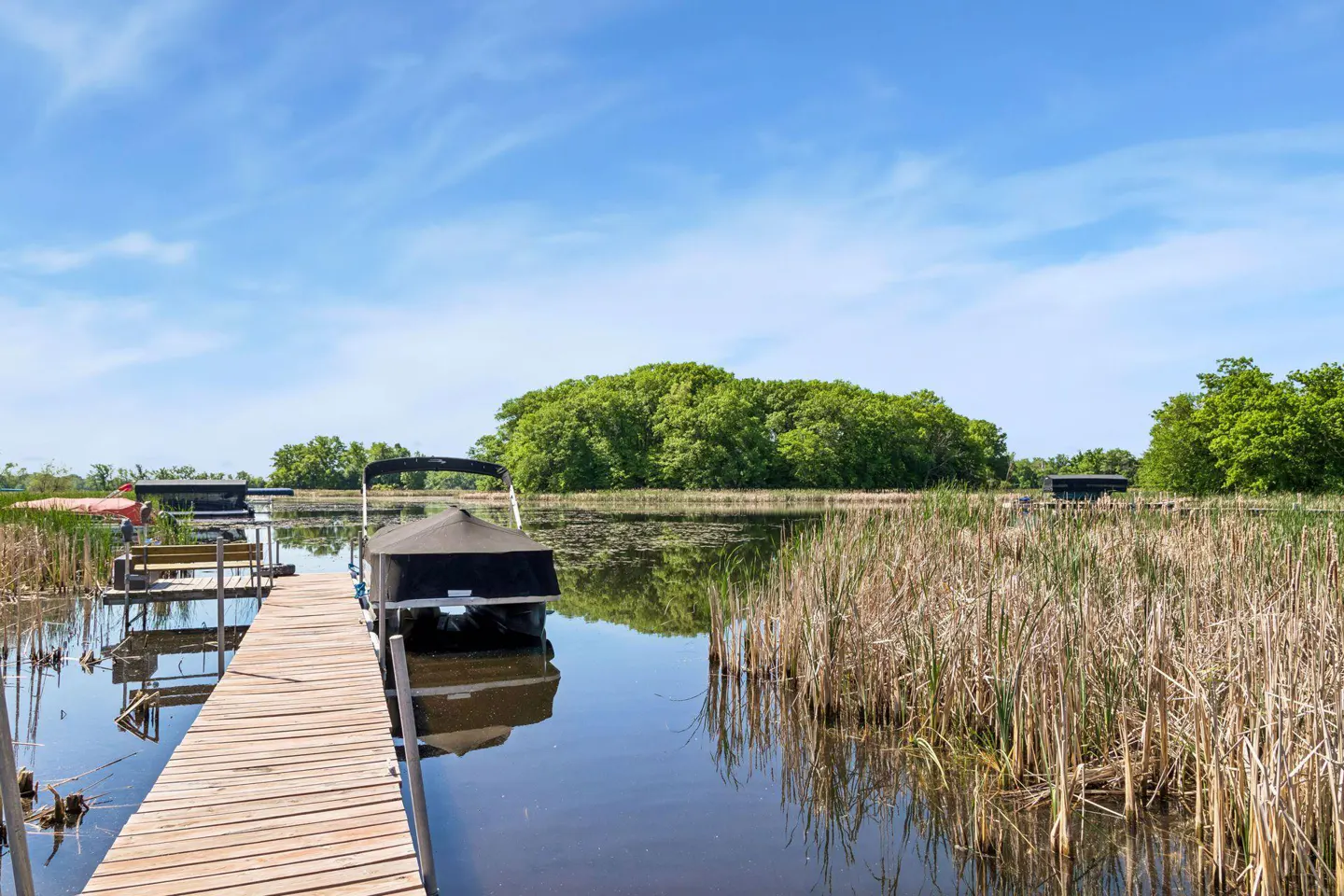 A wooden dock extends into a calm lake with a covered pontoon boat, surrounded by tall reeds under a bright blue sky.