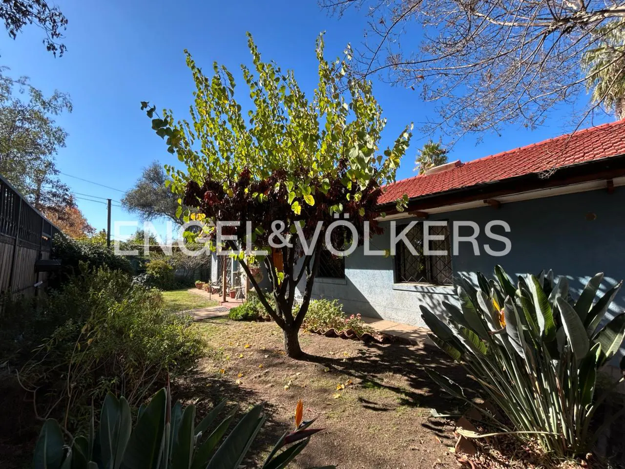 Exterior view of a blue house with a red tile roof, a tree with green and red leaves, and tropical plants in the yard.