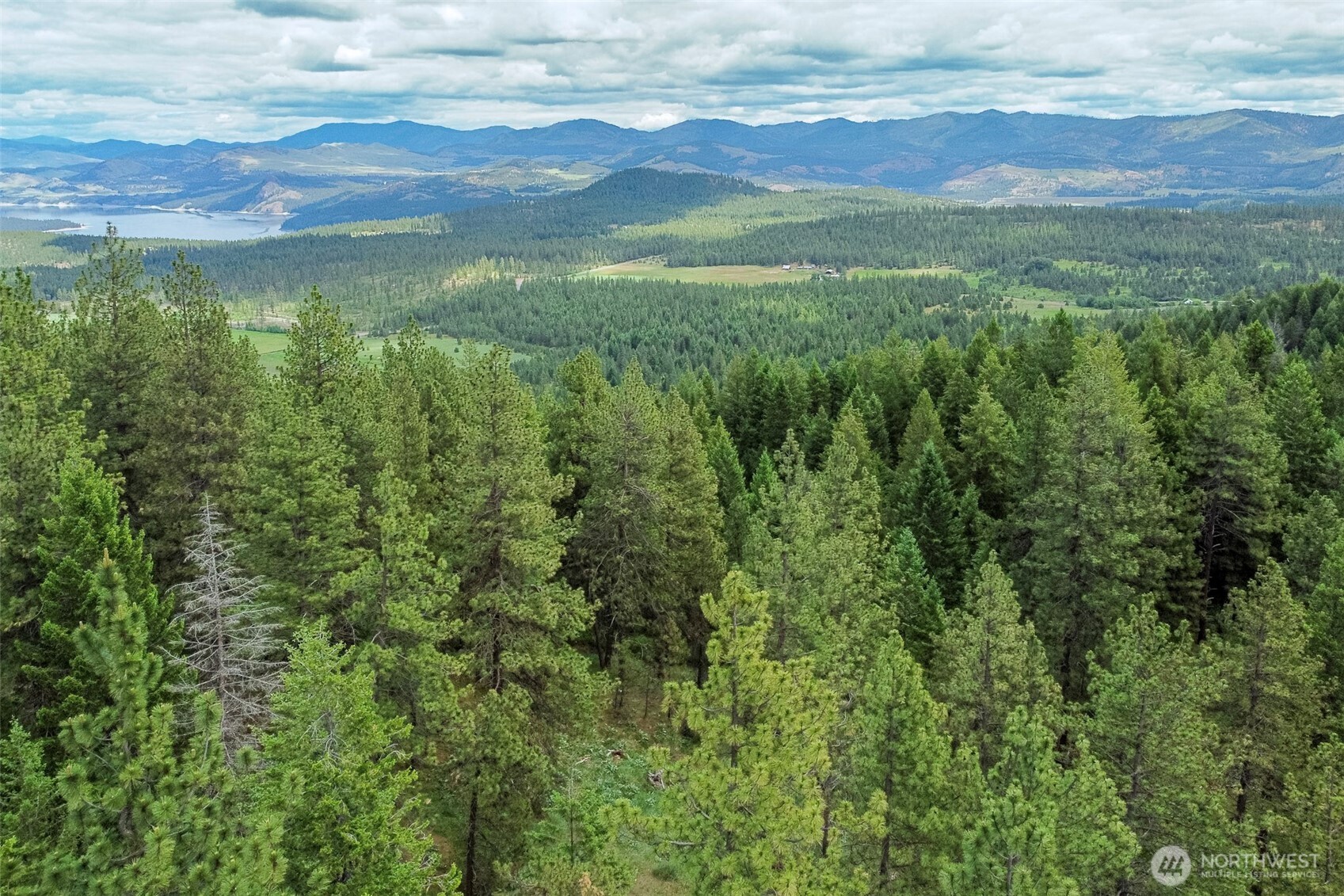 Escape to 25+ Acres of Natural Beauty