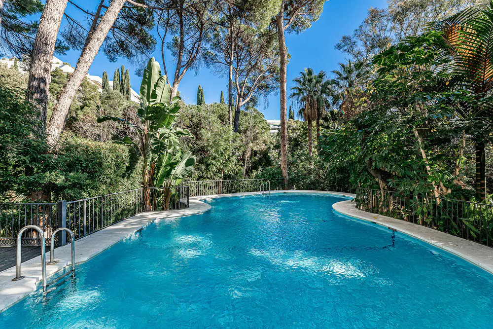 A turquoise pool is surrounded by lush greenery and tall trees under a clear blue sky.