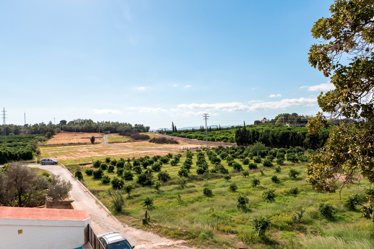Impresionante finca de cítricos con pozo en Carcaixent