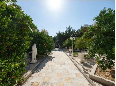 Stone pathway lined with orange trees, a statue, and white planters leads to a gate under a sunny blue sky.