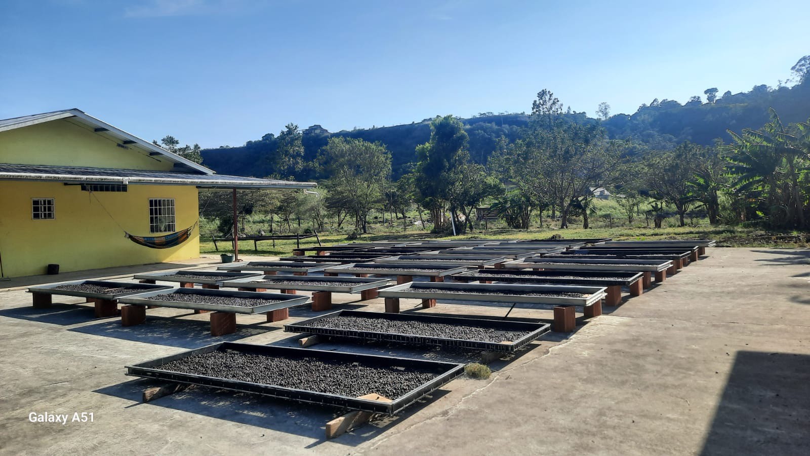 Award-Winning Coffee Estate in Boquete | 41 Hectares