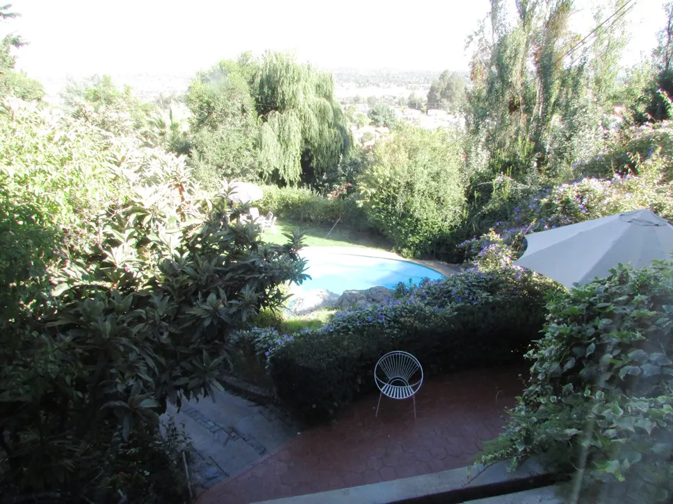 View of a backyard with a blue pool, green trees, a white umbrella, and a white chair on a brick patio.