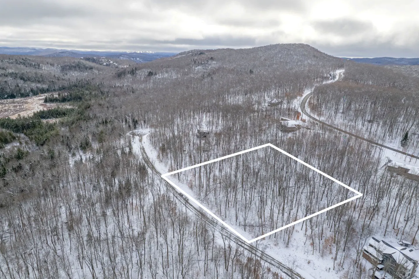 Aerial view of a snow-covered wooded lot outlined in white, with mountains in the background.