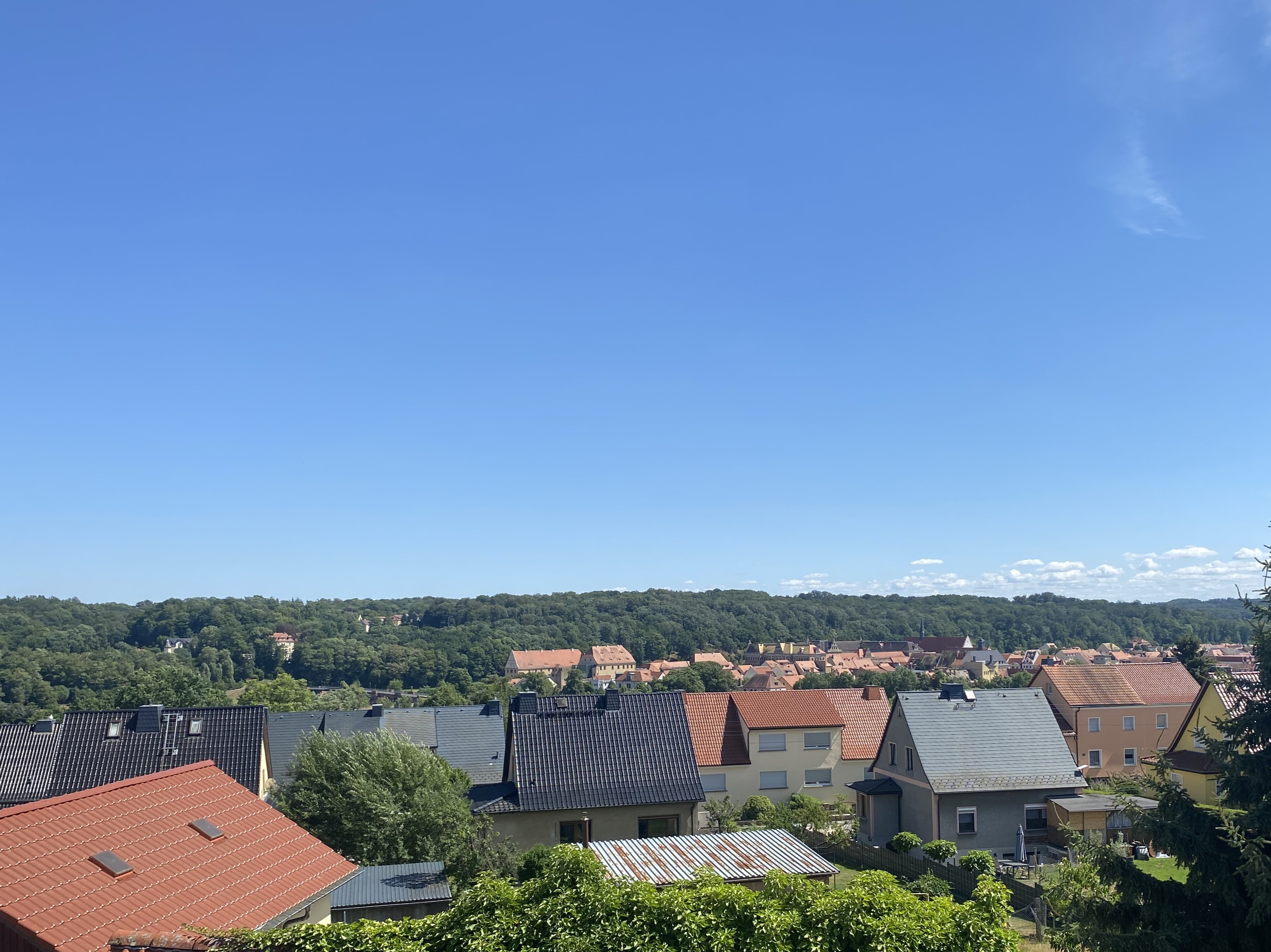 Freistehendes Einfamilienhaus mit Ausblick über Grimma