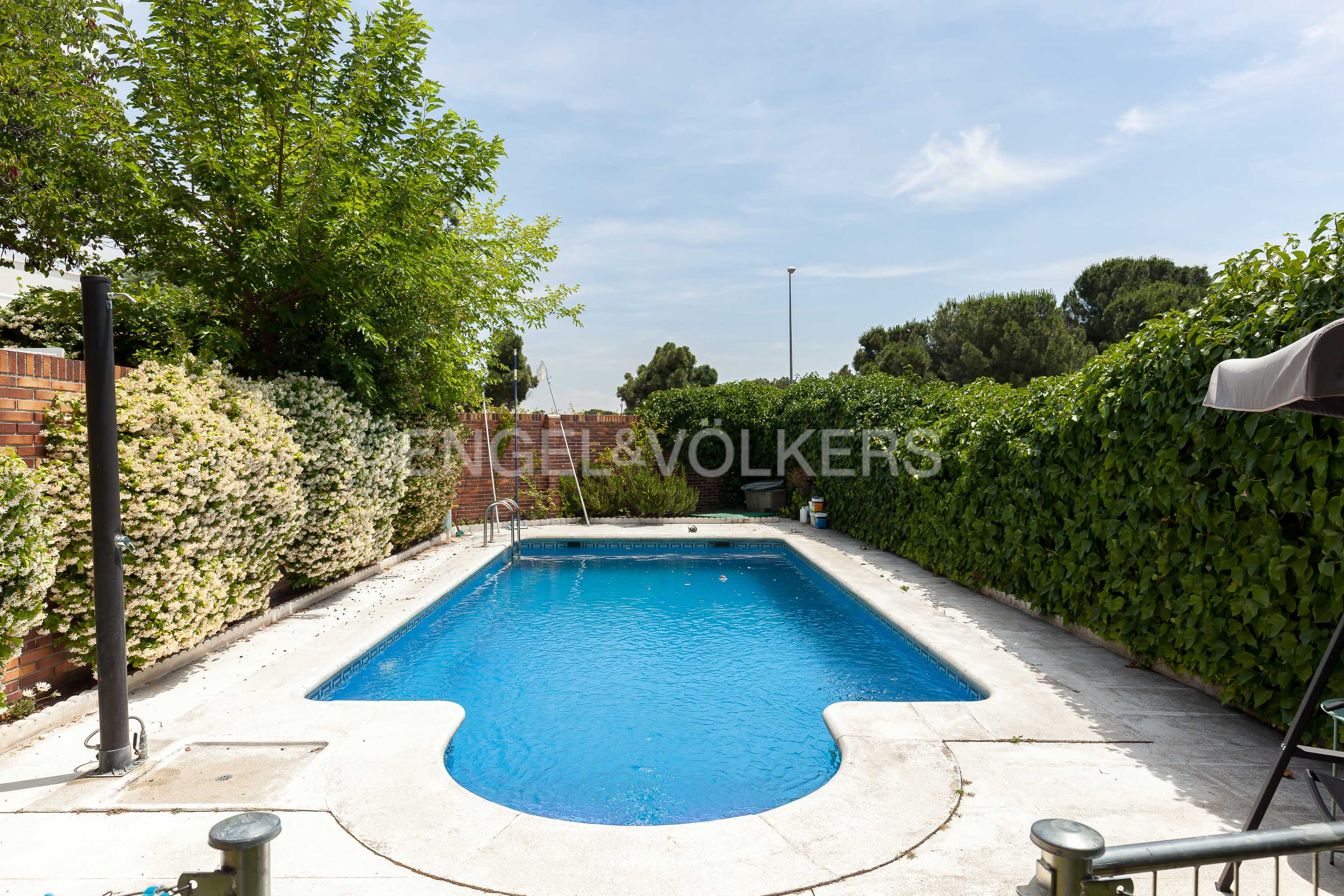 A rectangular swimming pool with blue water surrounded by a stone patio, lush green hedges, and trees under a blue sky. [AI-generated text]
