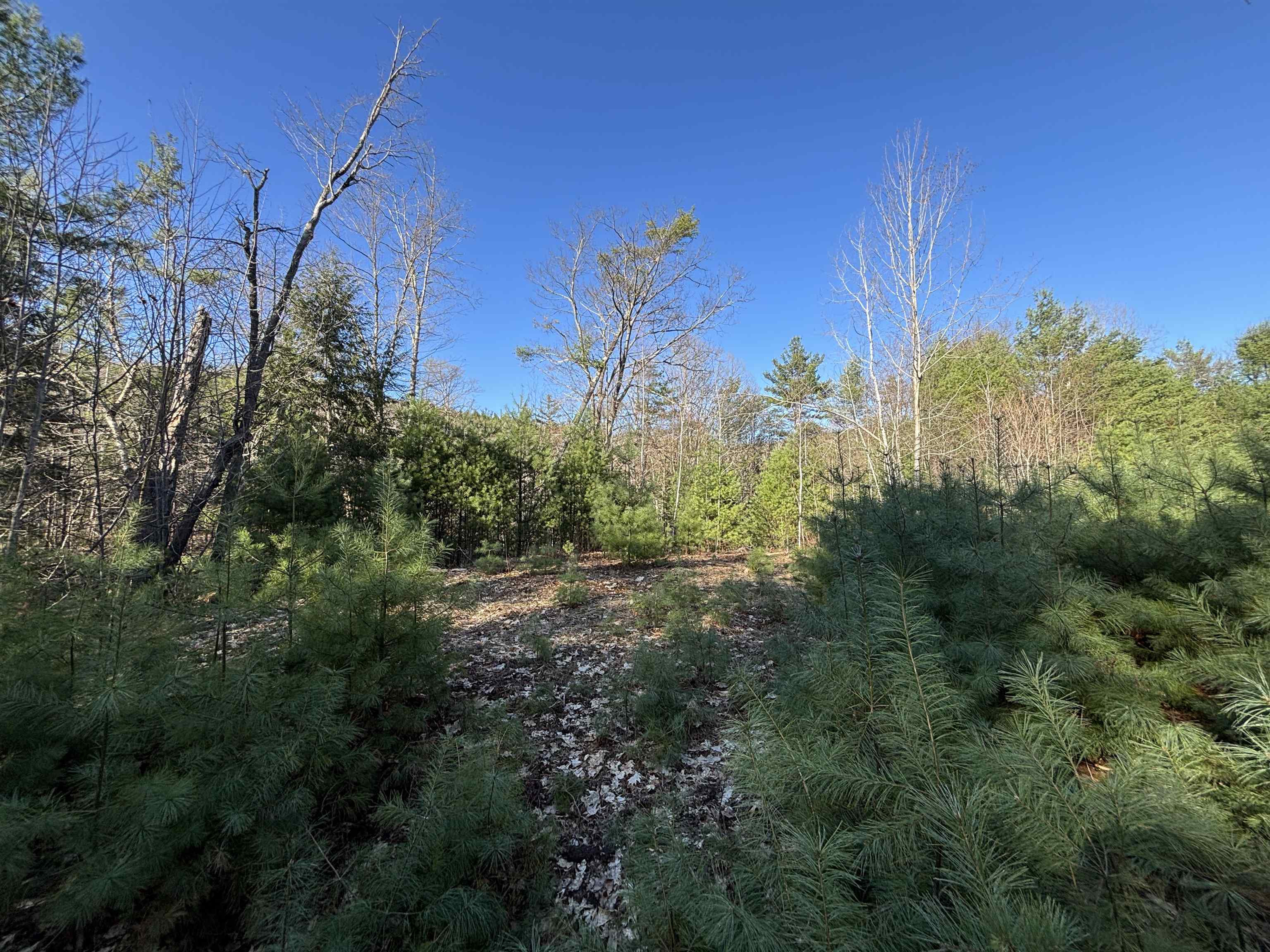 Andover Building Lot with River Frontage