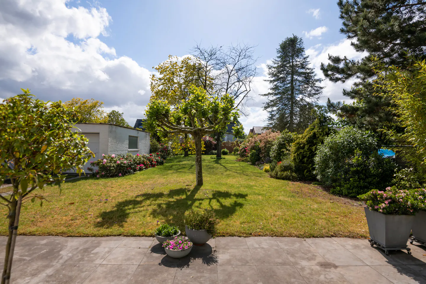 A lush green lawn with trees, shrubs, and flowers under a blue sky with white clouds. Potted plants sit on a gray patio in the foreground.