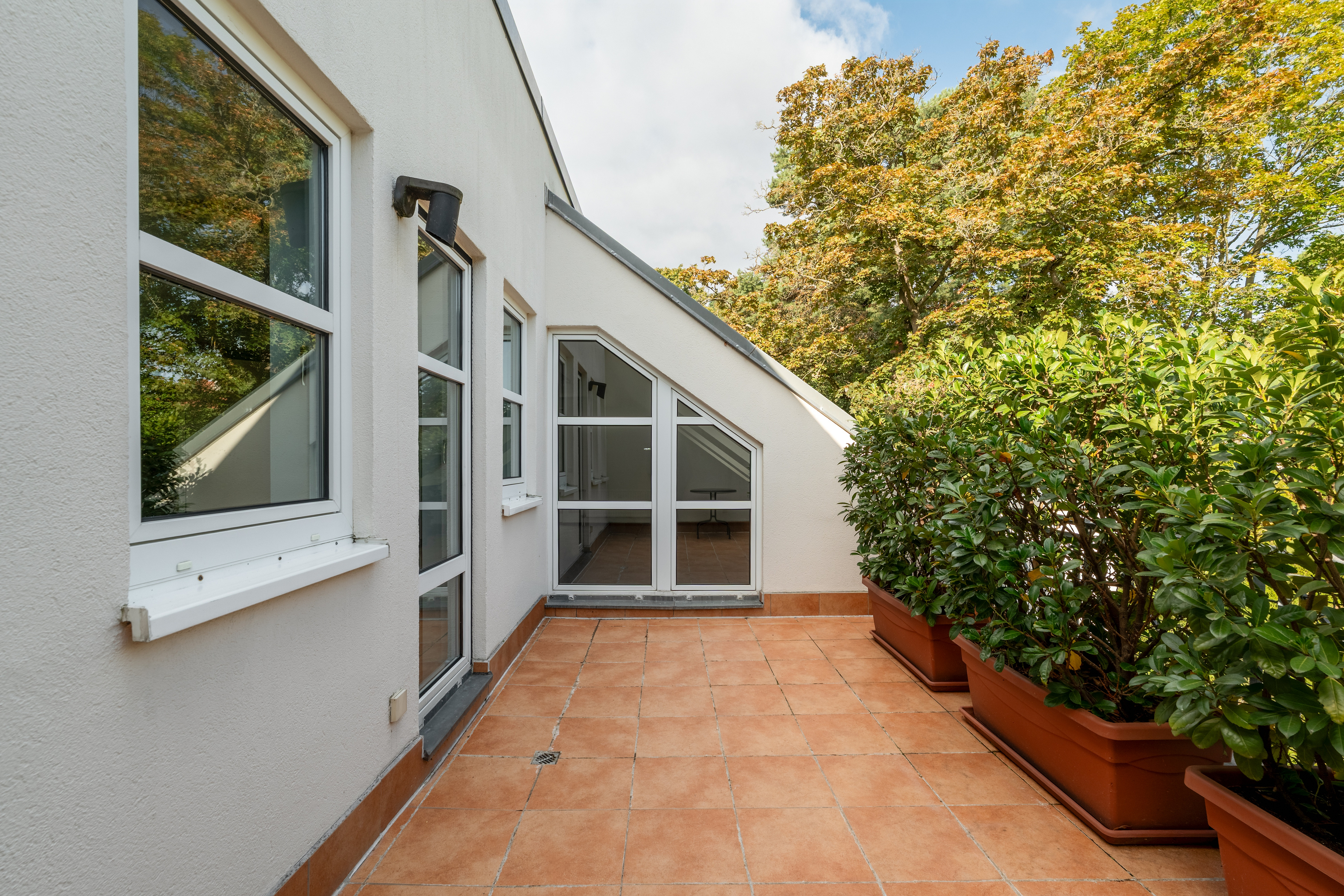 A tiled balcony with white walls, large windows, and potted green shrubs against a backdrop of trees. [AI-generated text]