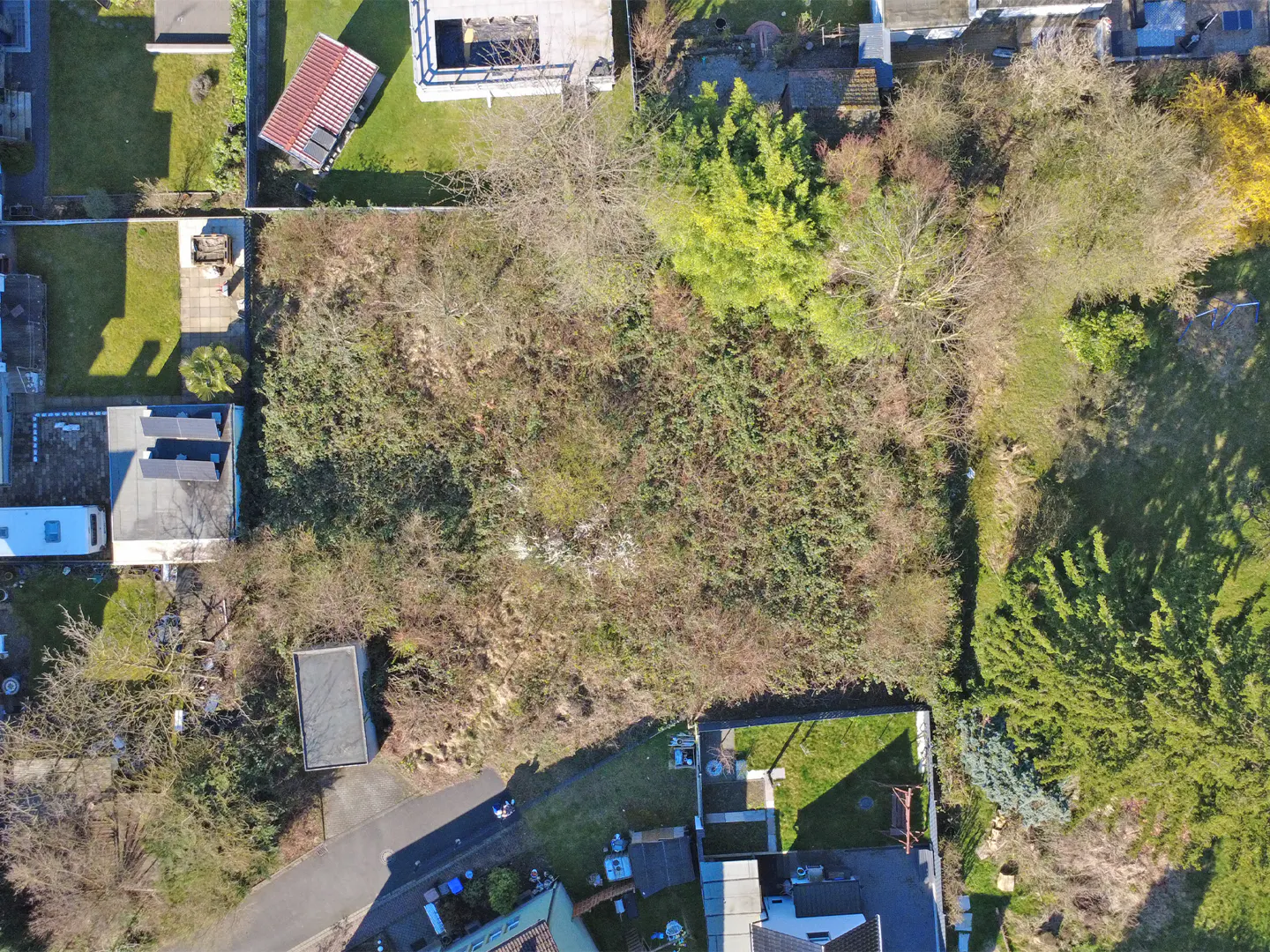 Aerial view of a vacant lot overgrown with bushes and trees, surrounded by houses and green lawns.