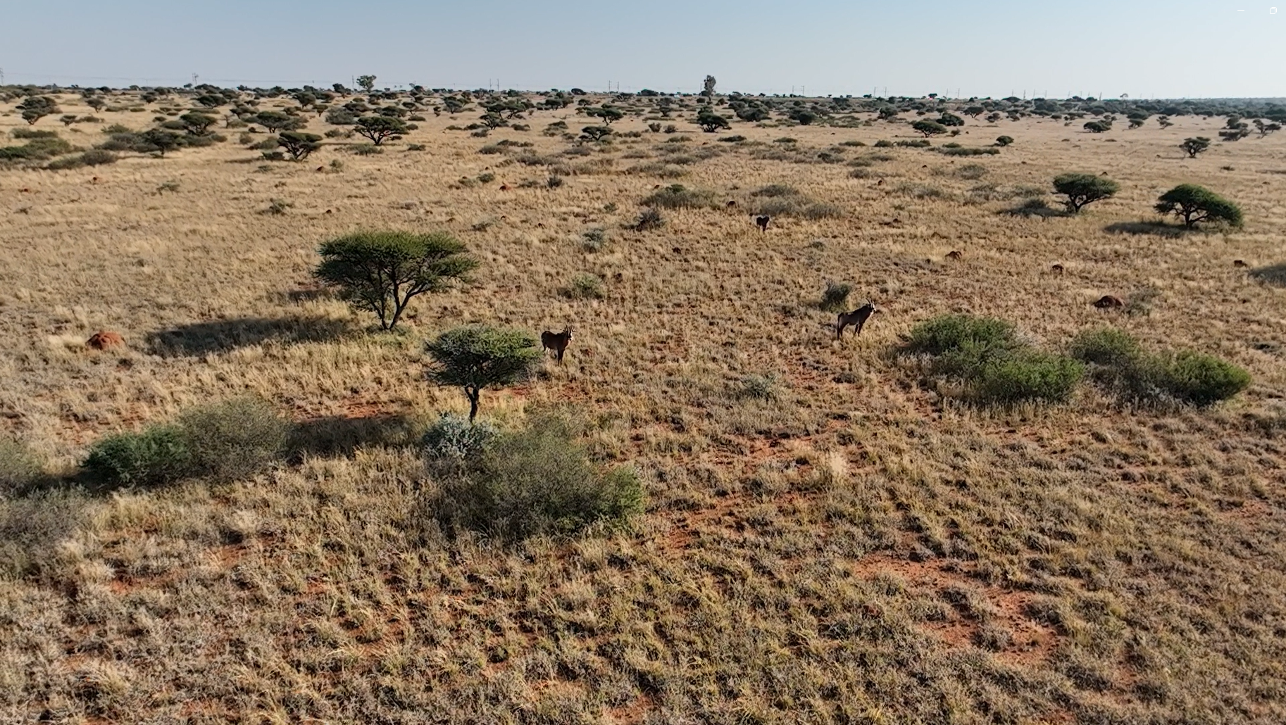Livestock & Lifestyle Farm with N12 Development Potential