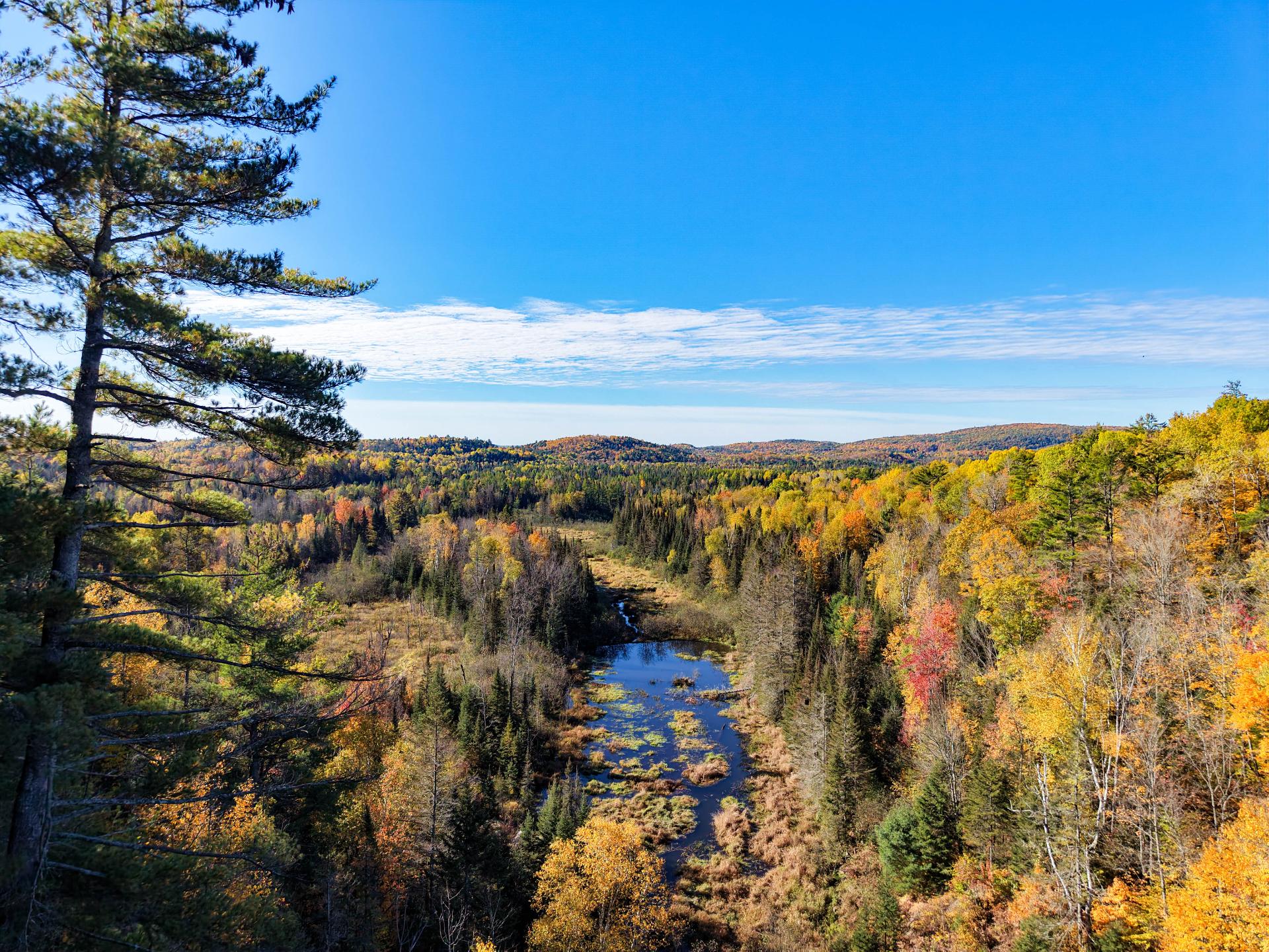Build Your Vision on this Established Land