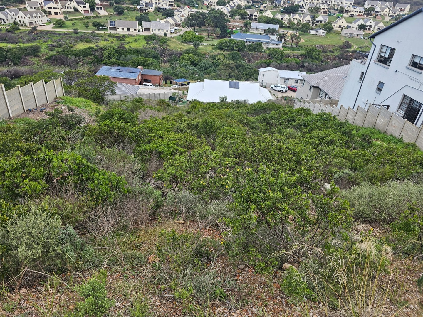 Scenic Serenity: 893m² Sloped Stand with Valley Views in Island View