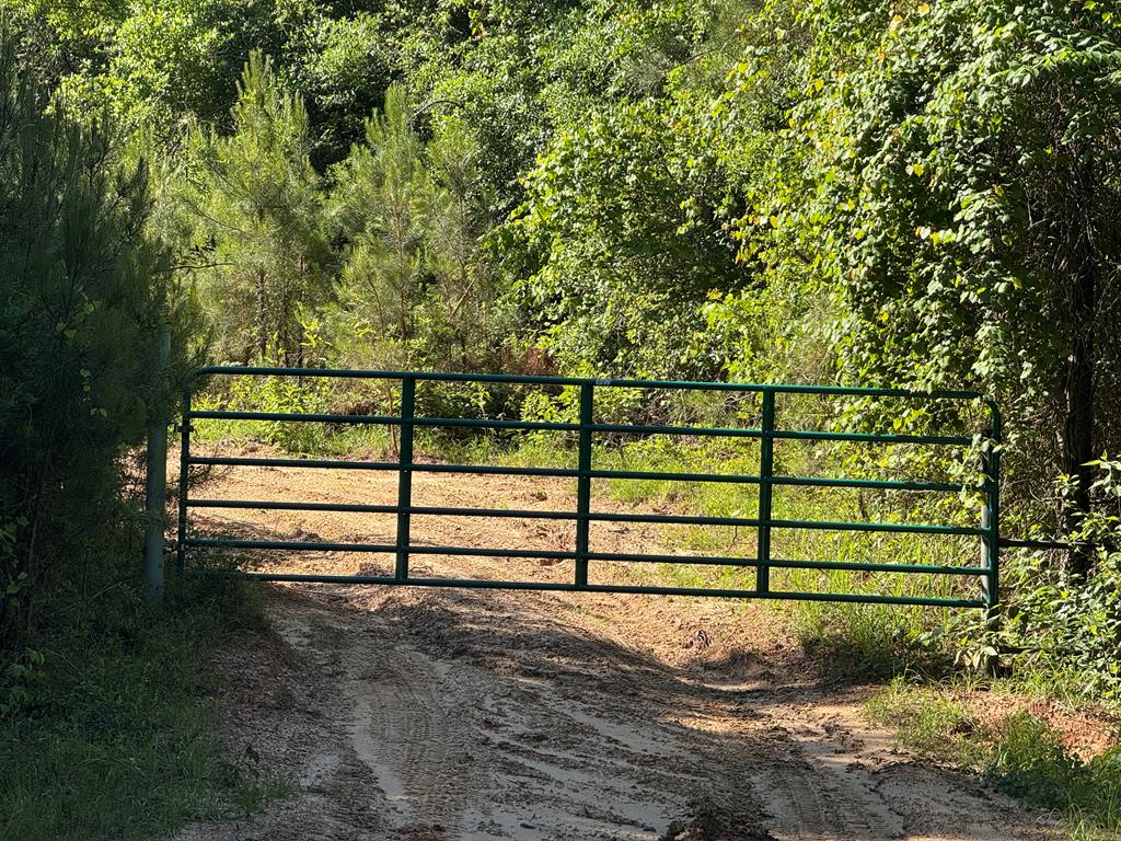 71 Private Acres With Timber, Wildlife, and Room to Roam