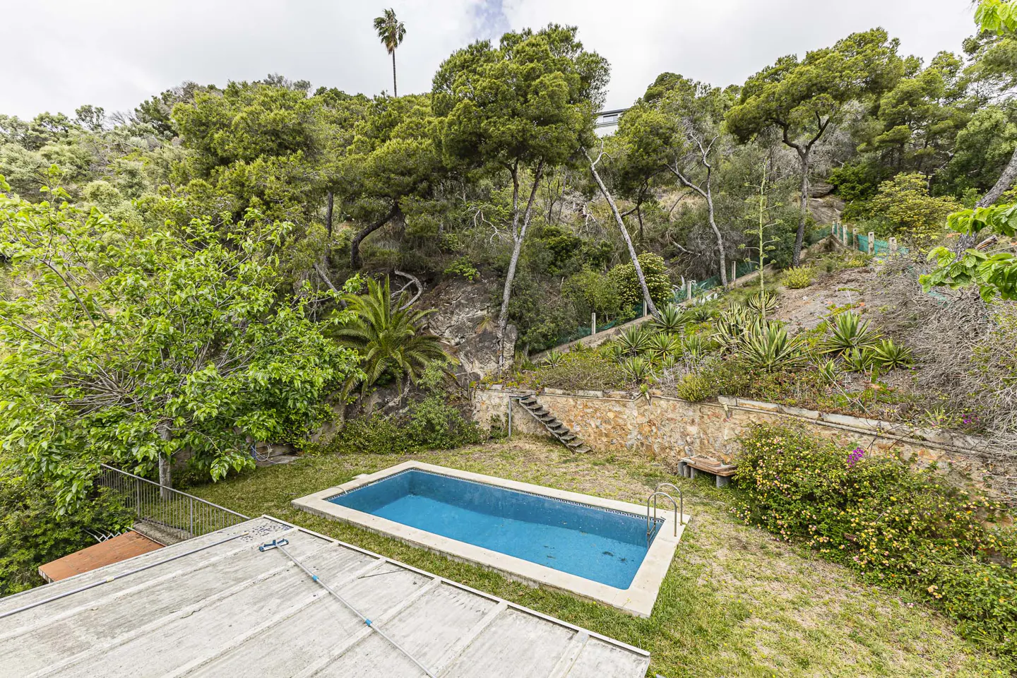 Aerial view of a rectangular blue swimming pool in a grassy backyard surrounded by lush green trees and a stone wall.