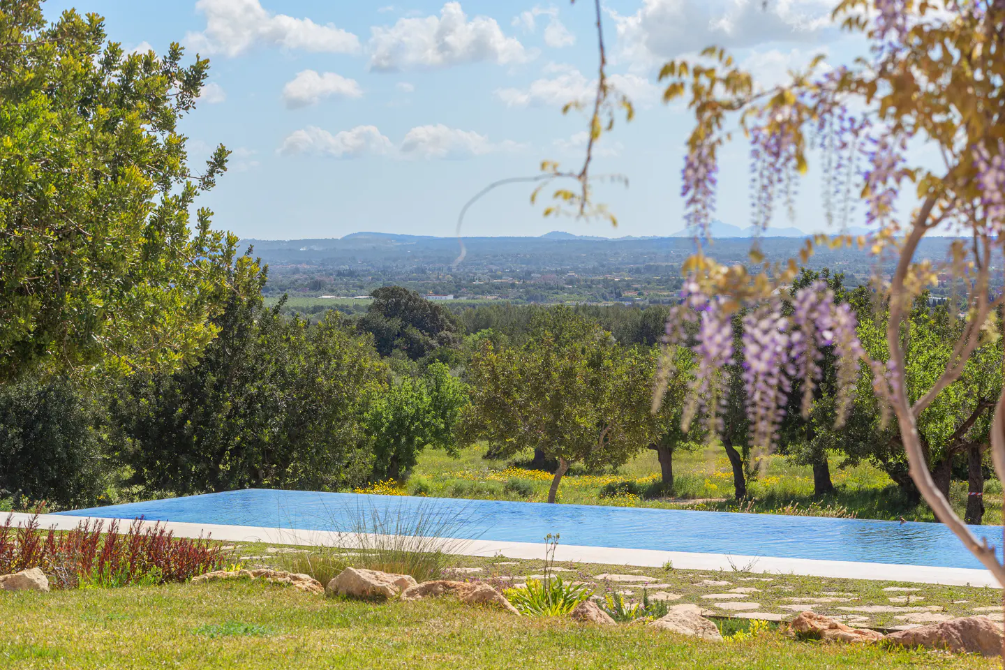 Outdoor view of a blue infinity pool, green lawn, trees, and distant hills under a partly cloudy sky. Wisteria flowers hang from a tree on the right.