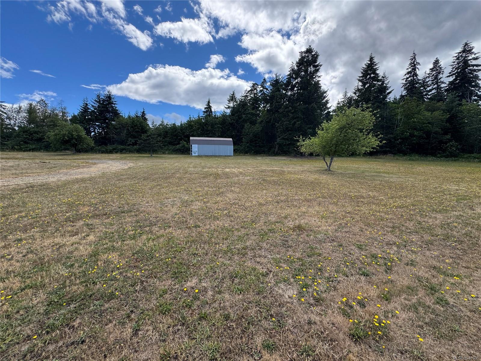 Permits one single-family home plus a carriage house/suite!