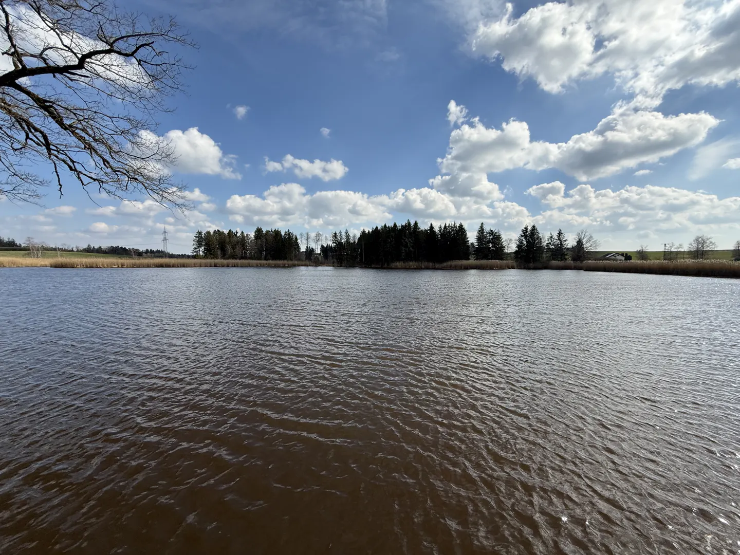 Scenic view of a calm lake reflecting a blue sky with fluffy white clouds and a treeline in the distance.