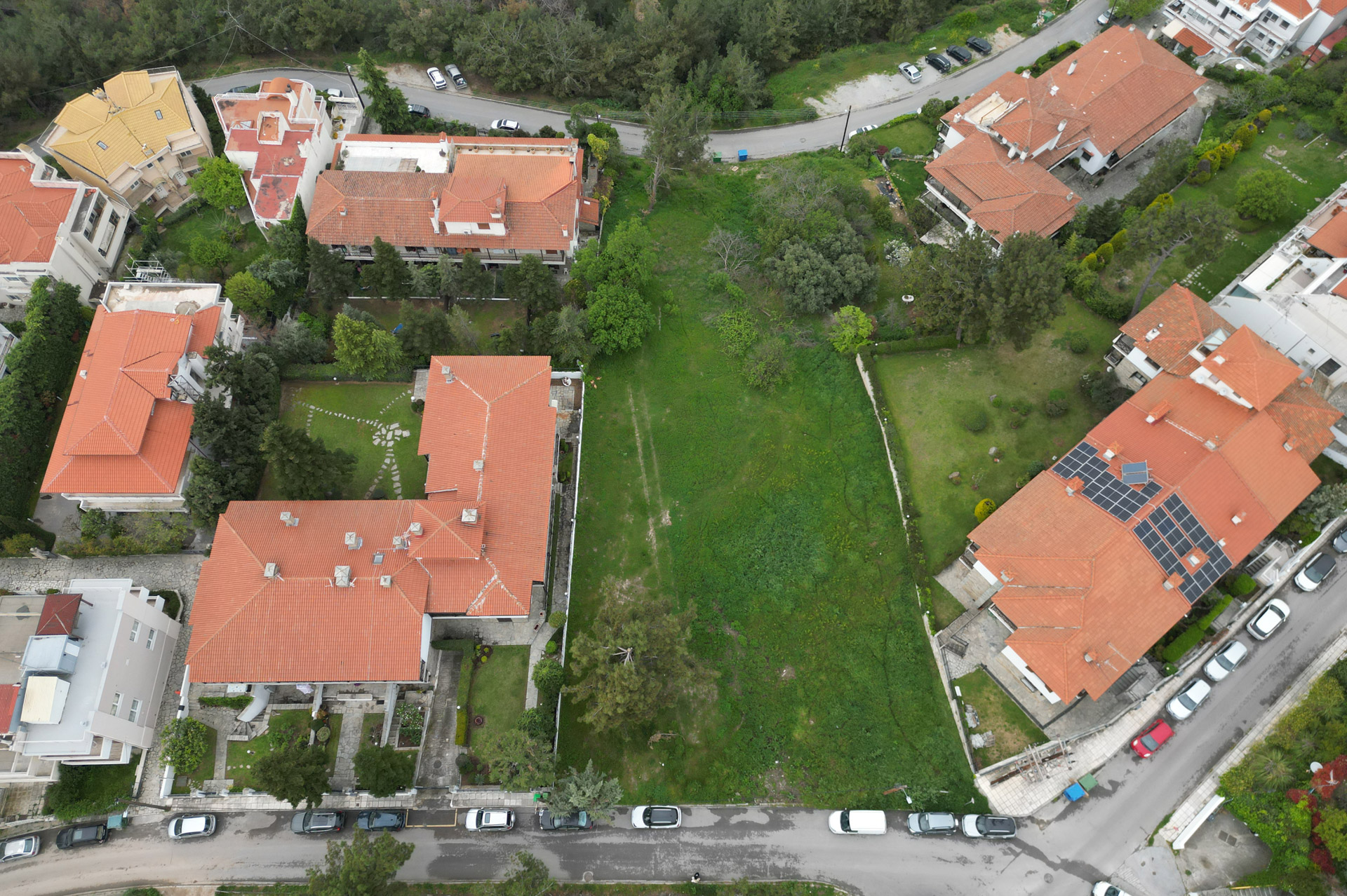 Plot in the center of Panorama