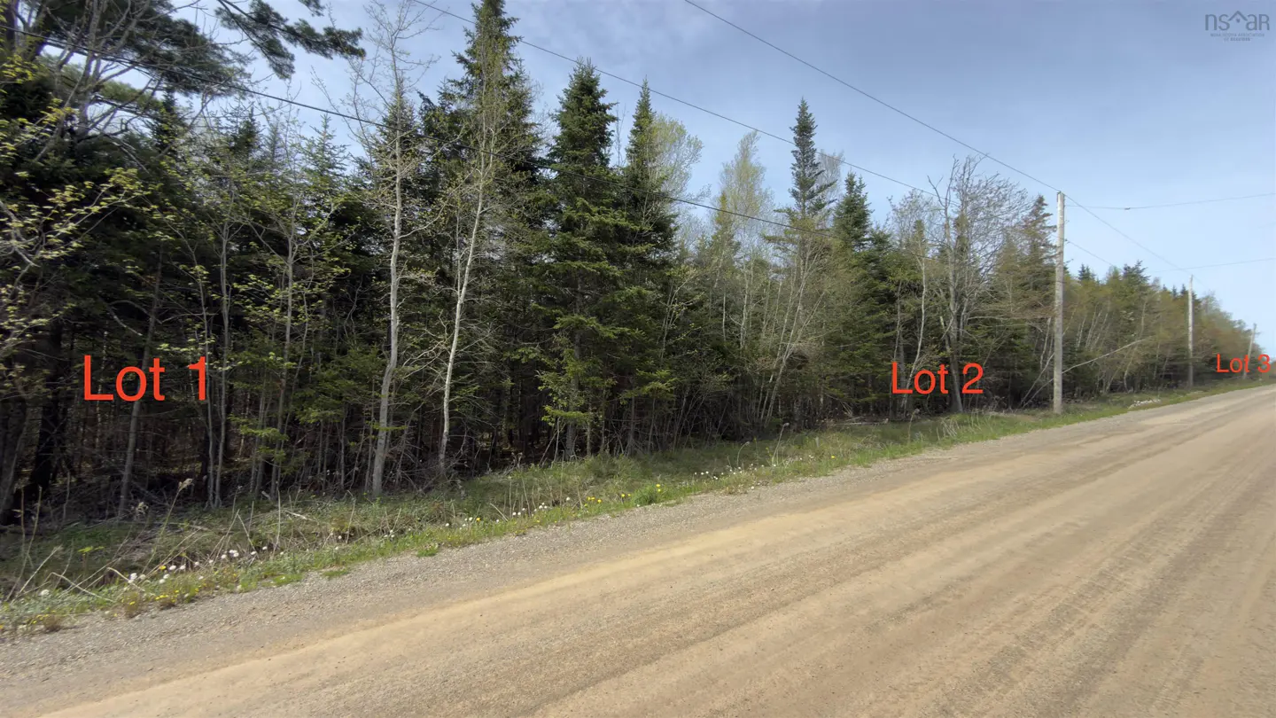 View of three wooded lots, marked "Lot 1," "Lot 2," and "Lot 3," along a dirt road with power lines overhead.