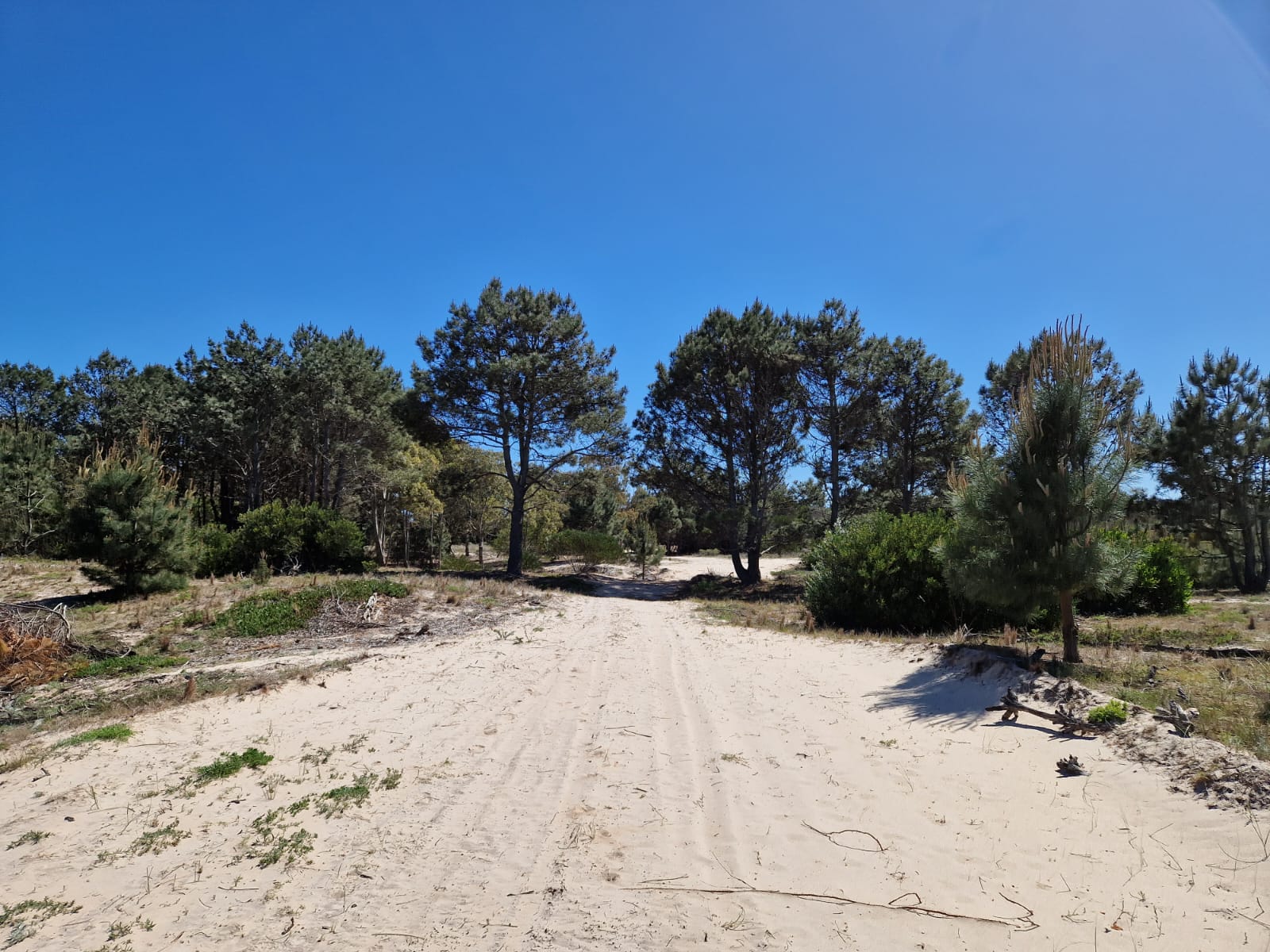 20 Hectares of land with coastline and forest.