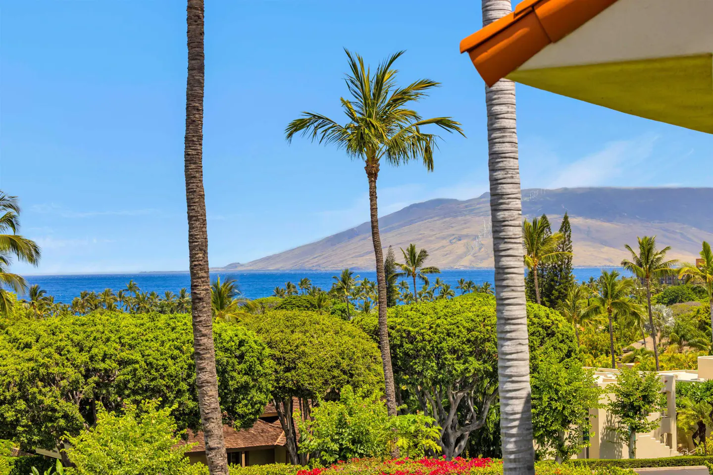 View of a tropical landscape with palm trees, lush green foliage, and a distant mountain across the blue ocean.