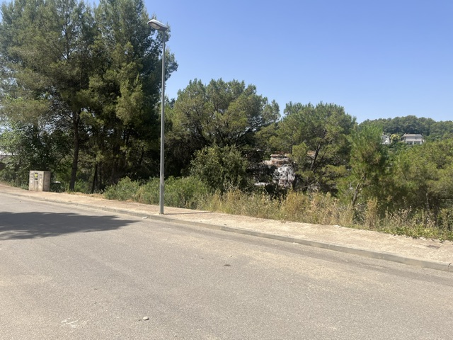 Natura, disseny i sense esperes: parcel·la a Rubí amb projecte i llicència d’obres