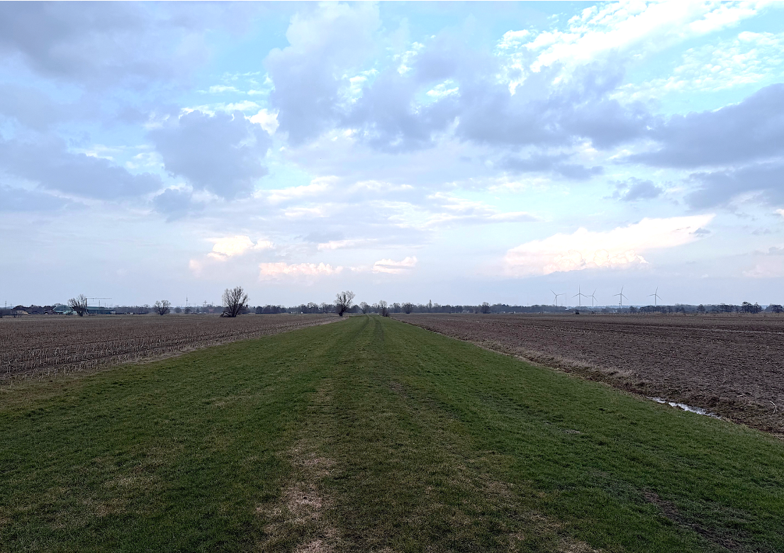 43,7 ha landwirtschaftliche Fläche mit Hofstelle in den Vier- und Marschlanden