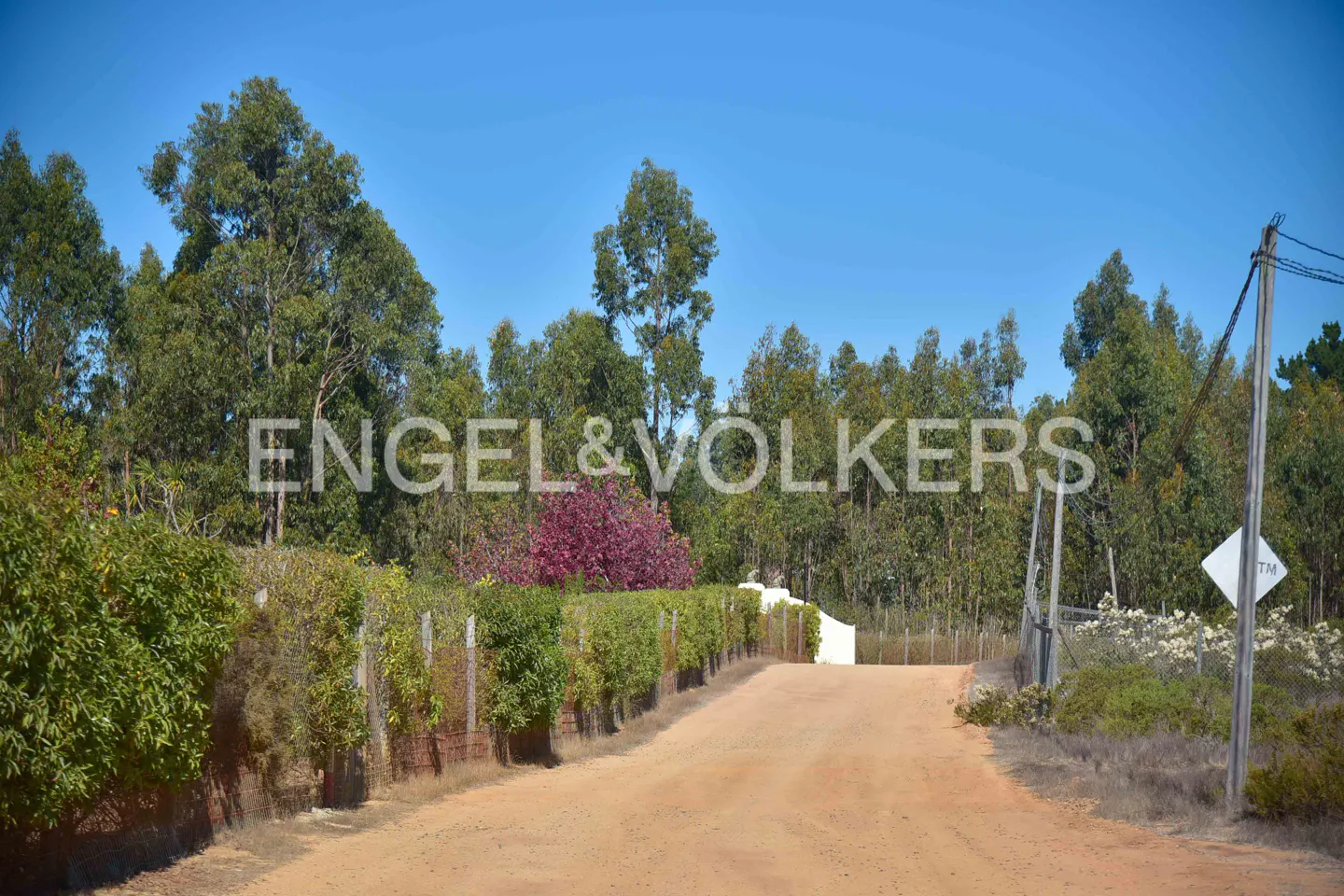 Dirt road leading to a property with trees, bushes, and a white gate under a clear blue sky.