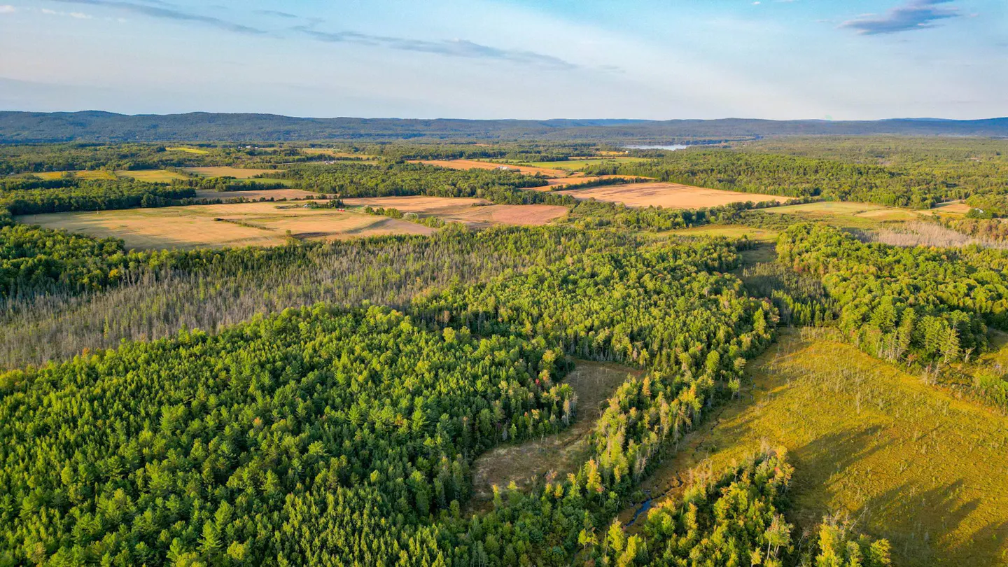 Aerial view of a landscape with green forests, golden fields, and distant hills under a blue sky.