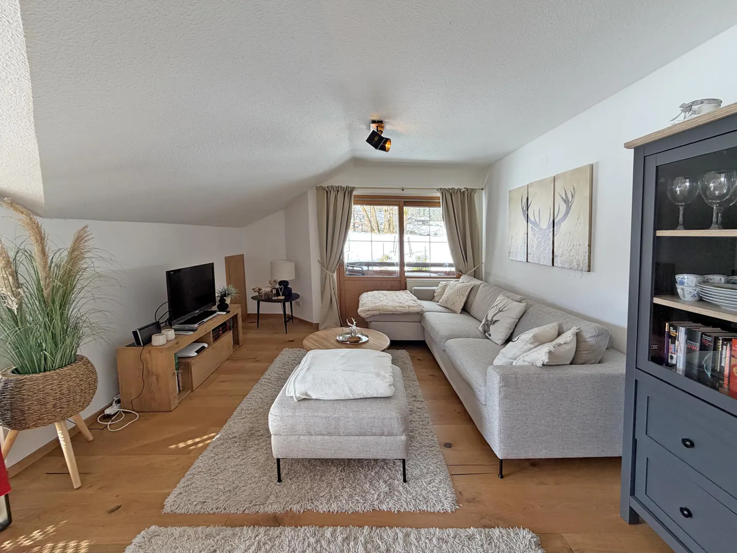 Living room with a gray sectional sofa, ottoman, TV, and wood floors. A large plant sits near the TV. Artwork of deer antlers hangs above the sofa.